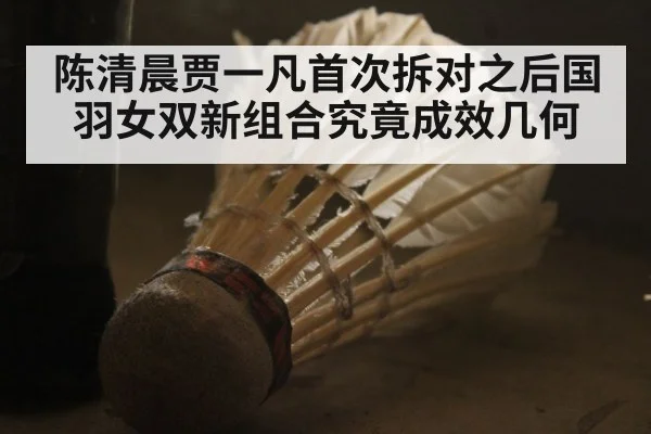 陈清晨贾一凡首次拆对之后国羽女双新组合究竟成效几何