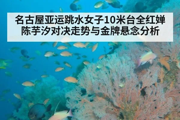 名古屋亚运跳水女子10米台全红婵陈芋汐对决走势与金牌悬念分析